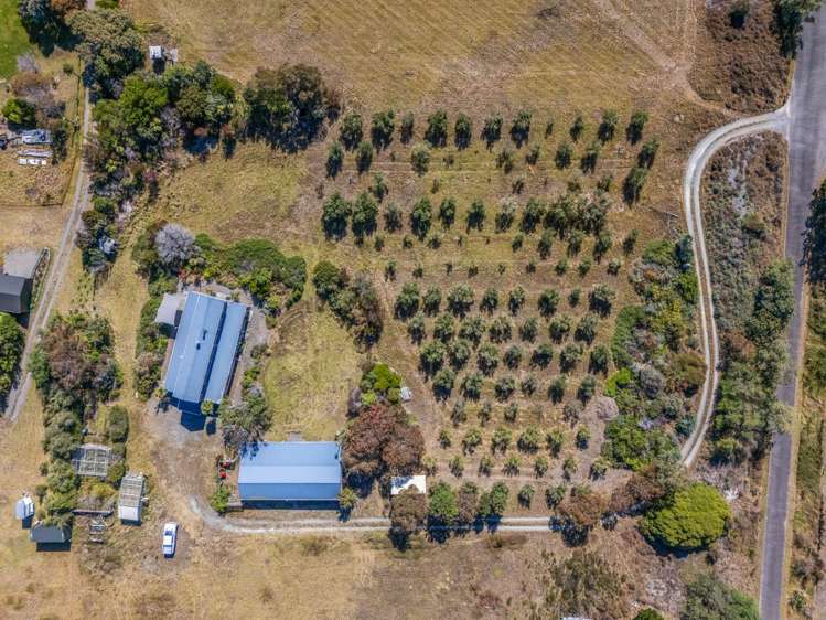 10 Bay End Rarangi_20