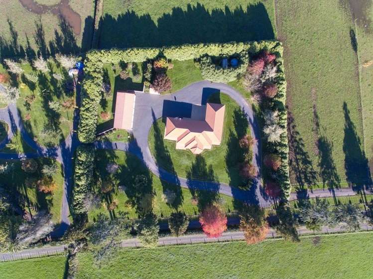 297 Bellevue Road Matangi_3