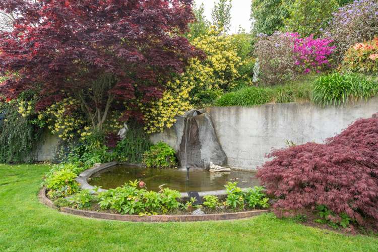 46 Blue Ridge Drive Acacia Bay_23