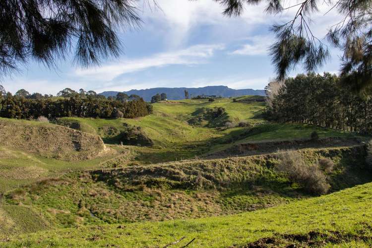 231 Walford Road Aongatete_25