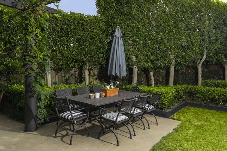 34a Oxford Terrace Devonport_7