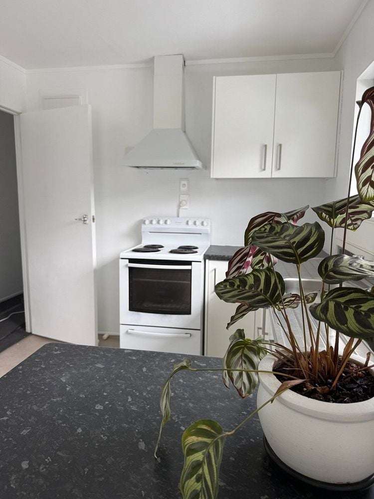 13 Warwick Place Raumanga_12