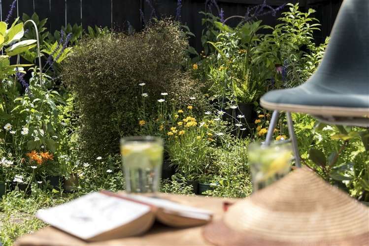 2/42 Rata Street New Lynn_14