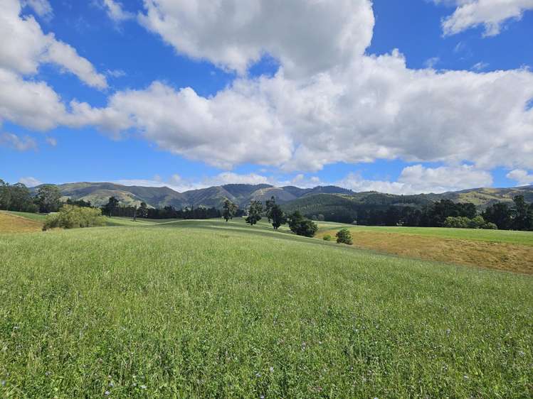 Lot 2 Brownleas Road Waimate_7