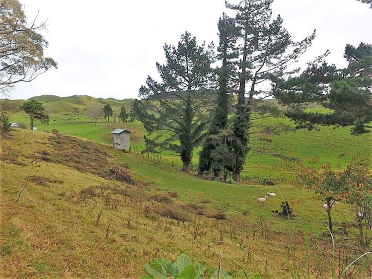 248 Davies Drive Kawhia_10