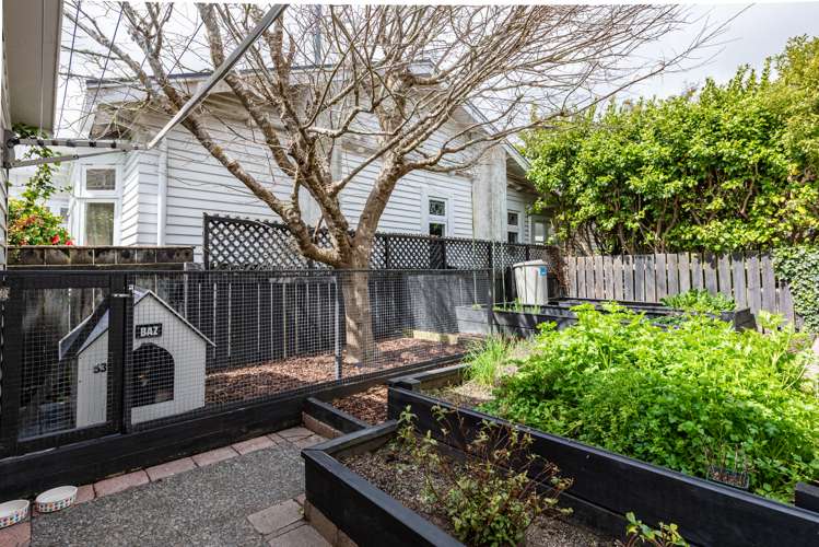 53 Campbell Street Karori_19