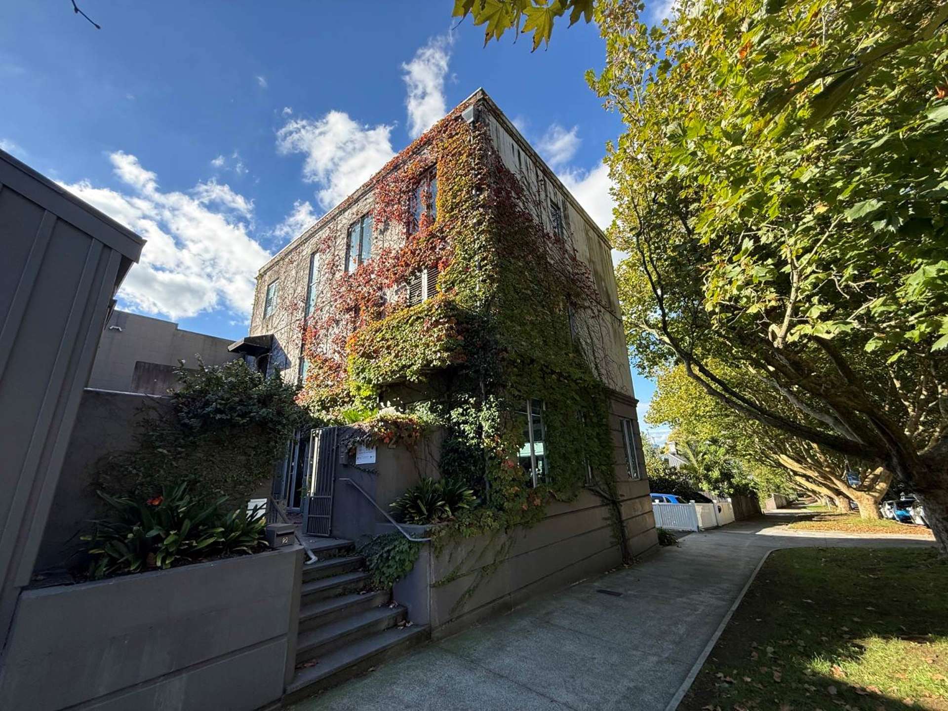 2 Picton Street Ponsonby_0