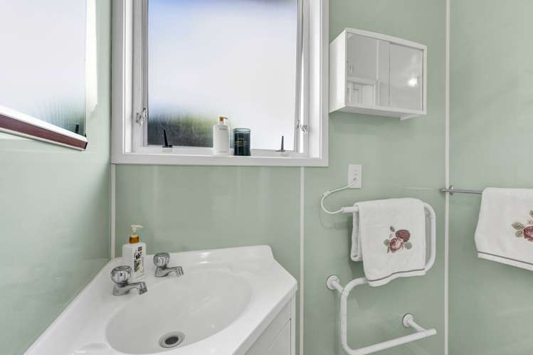 9 Struan Avenue Lower Vogeltown_13