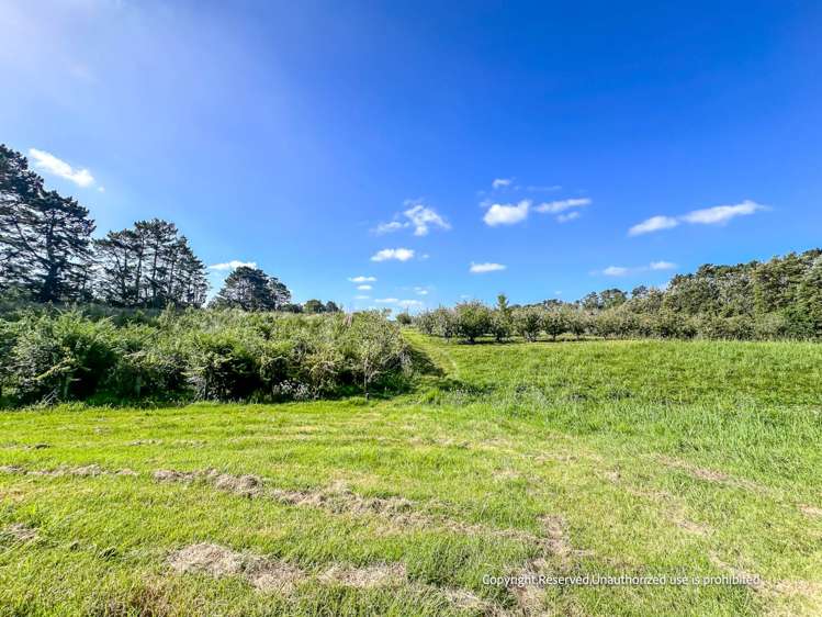 162 Trigg Road Huapai_6