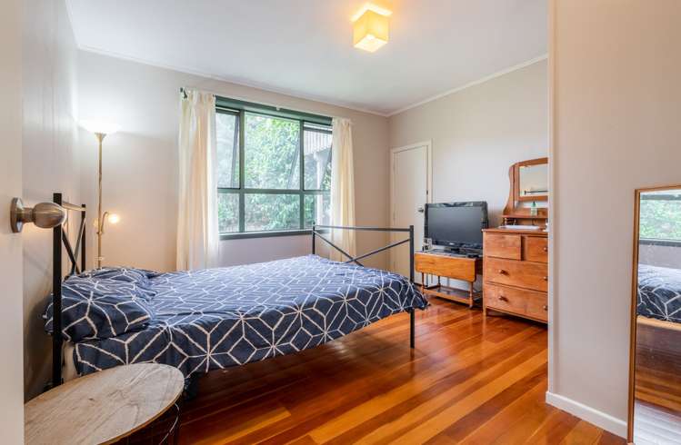 19a Arran Street Avondale_9