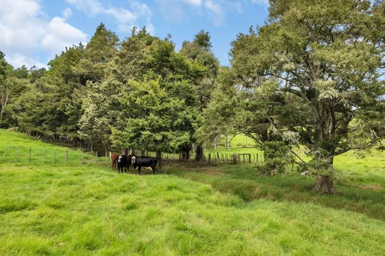 265 Taipuha Road Mangapai and Surrounds_13