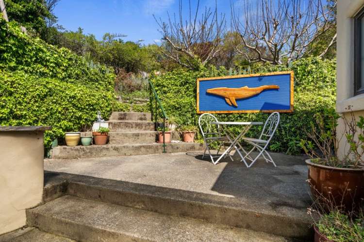 22 Matipo Terrace Toi Toi_6