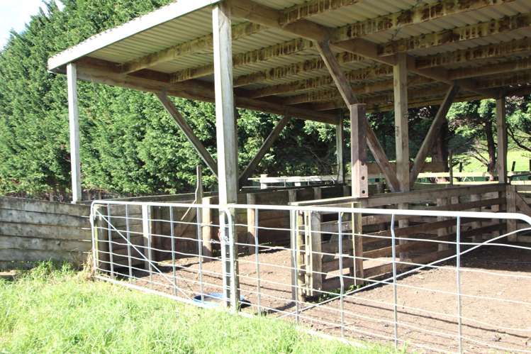 52 Brass Road Ahipara_27