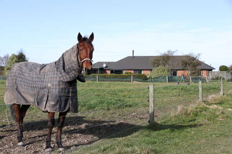 336 Boundary Road Willowby_17