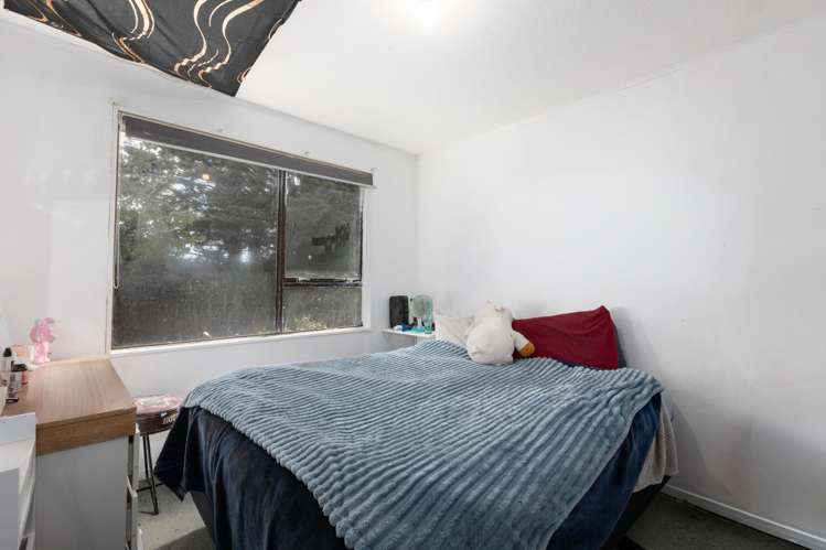 6 Japonica Crescent Ranui Heights_18