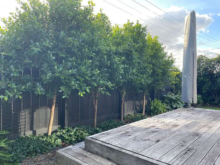103B Rimu Street Maeroa_17