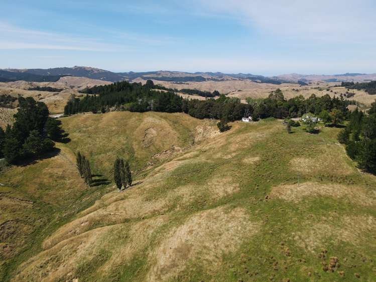 Esdaile Road Dannevirke_12