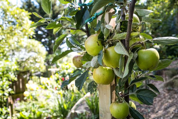 66 Portobello Road Musselburgh_27