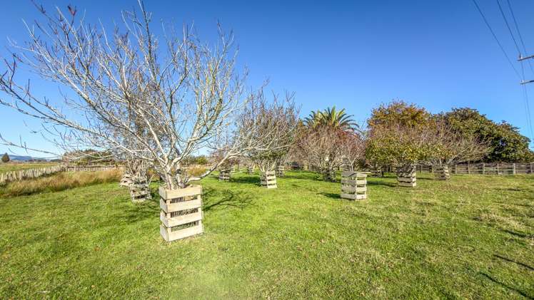 6736 Wilson Road Paeroa_8