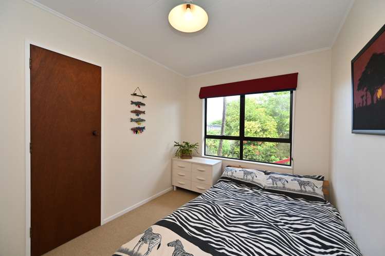 17 Sutherland Street Tamatea_11