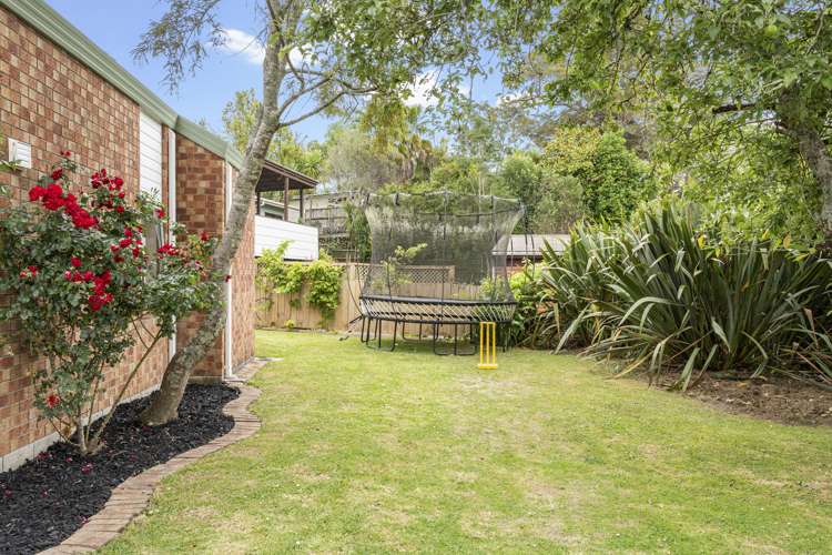 29a Forest Hill Road Henderson_19
