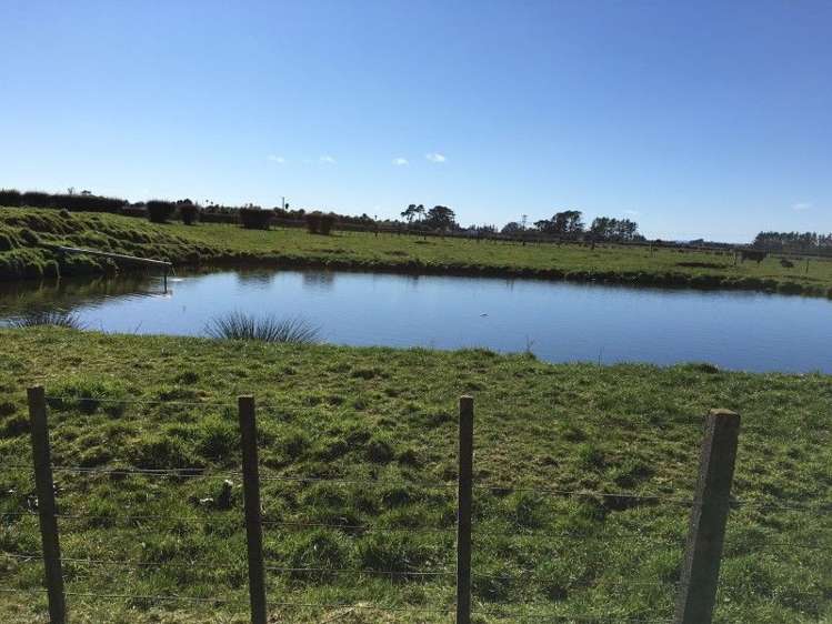 3280 Mountain Road Midhirst_6