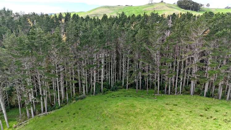4062 Kaipara Coast Highway Tauhoa_20