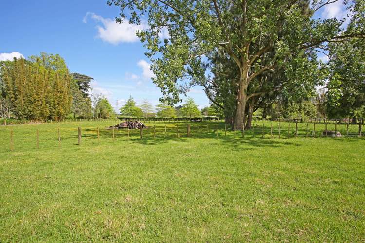 291 Fitzgerald Road Drury_21