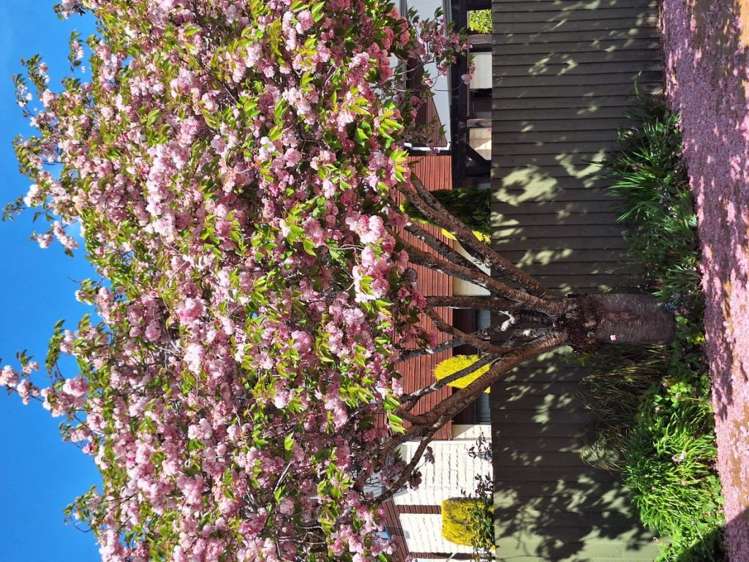 44 Fairweather Crescent Kaiapoi_16