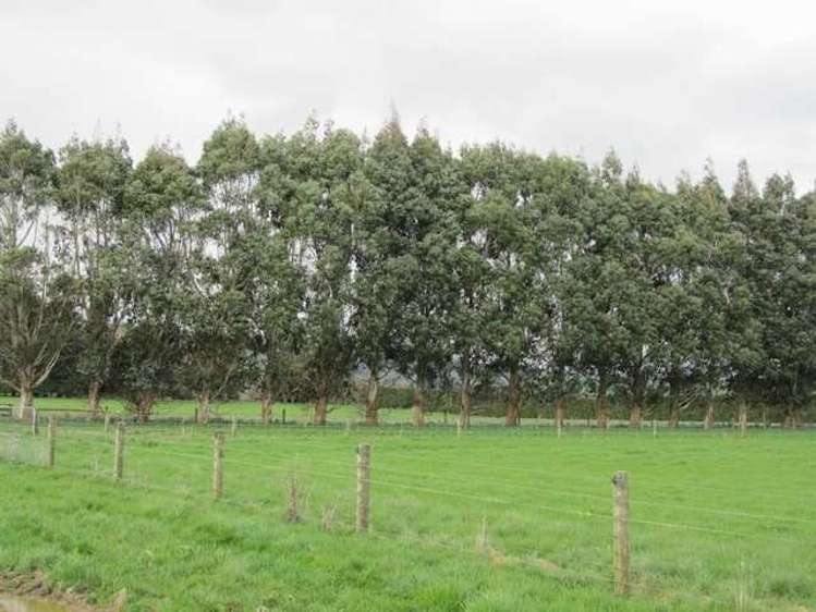 341 Hokonui School Road Winton Surrounds_12