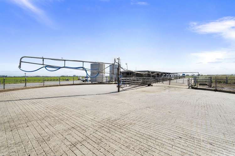 145 Campbells Road Opiki_9