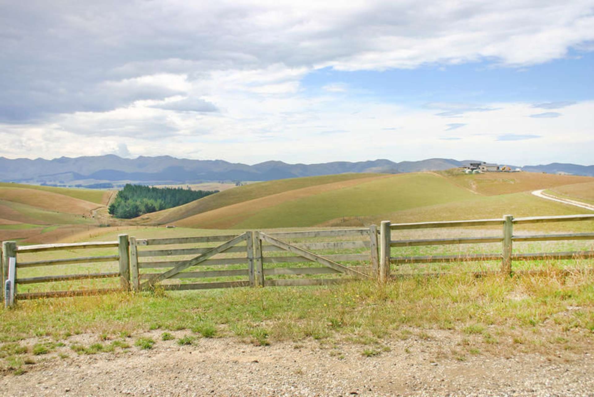 Taieri Peak Road Palmerston_0