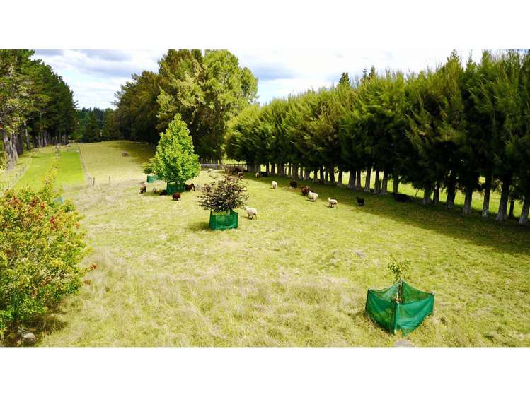 71a Keri Downs Road Kerikeri_17