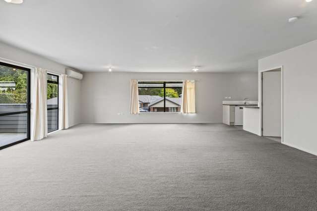 13a Greensboro Street Hamilton East_3