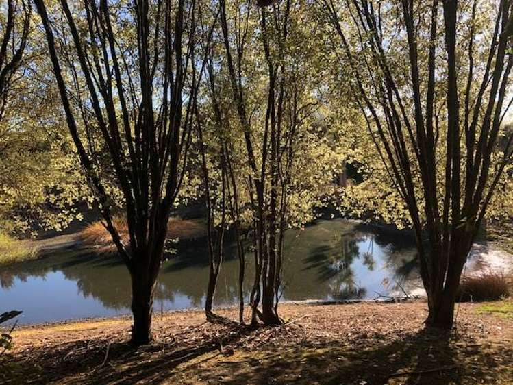 Lot 2 DP480579 South Head Road South Head_48