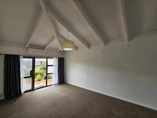 35 Young Street Wanganui East_2