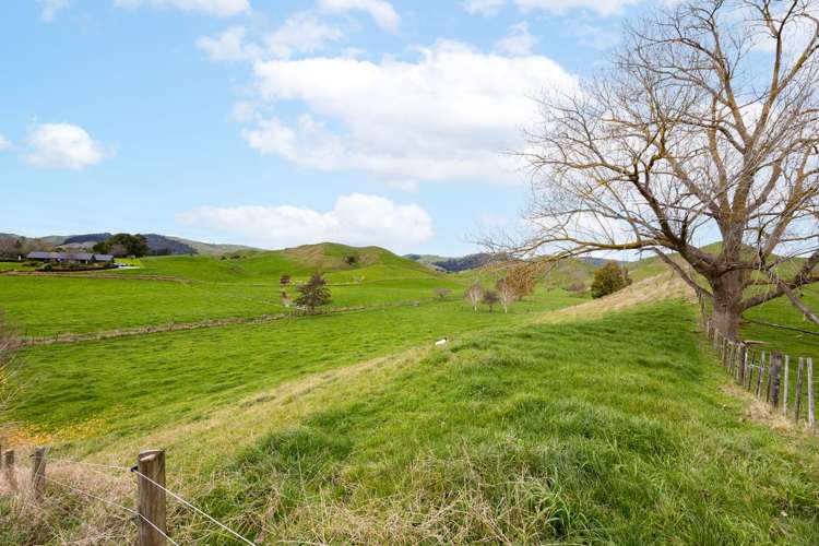 148 Flume Road Te Miro_22