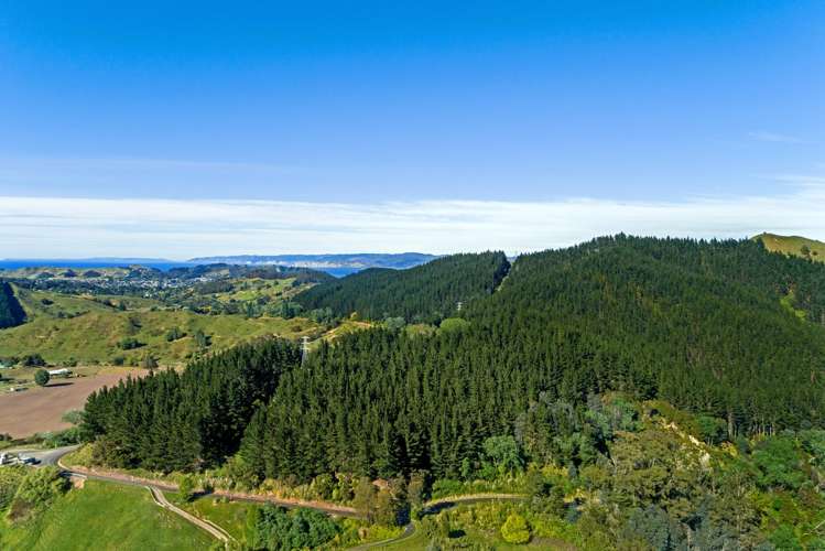 Riverside Road Matokitoki_10