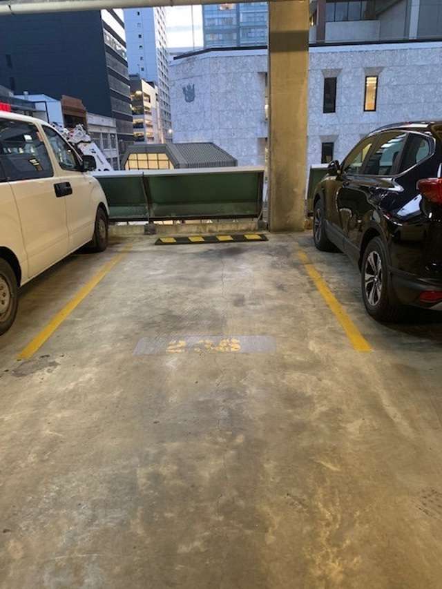 Carpark Only - 'City Gardens'