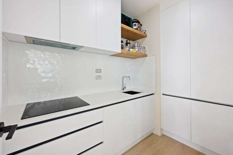 102 Thomas Road Flat Bush_8