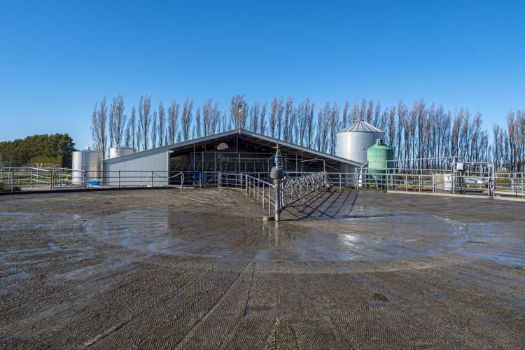 368 Crows Road Coldstream_18