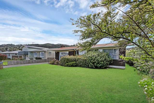 102 Centennial Avenue Thames_3