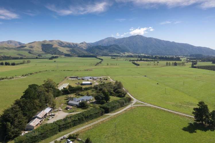 793 Peel Forest Road Mesopotamia_33