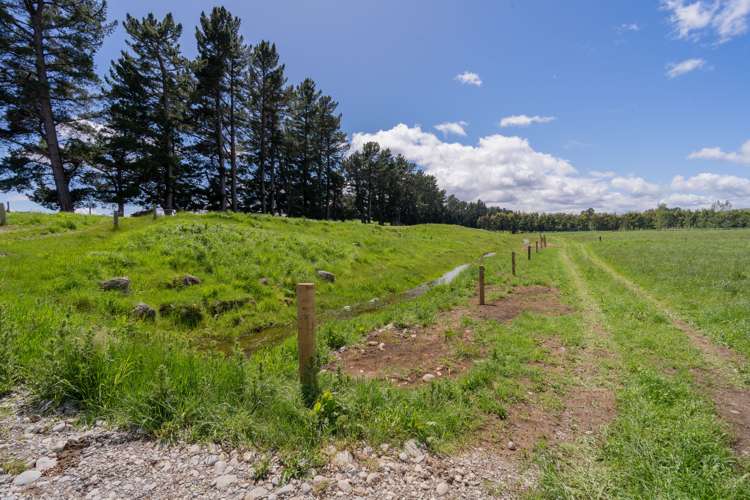 120 Wetlands Road Te Anau_14