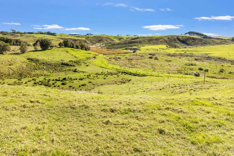 402 Baylys Coast Road Dargaville_9