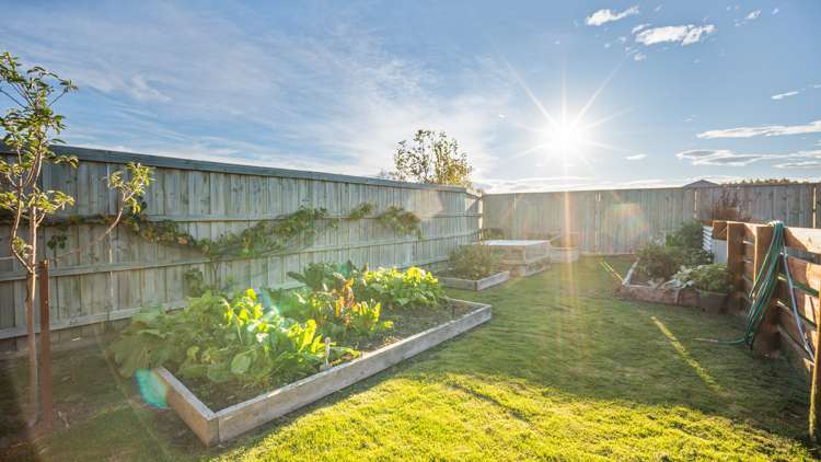 1 Fantail Avenue Amberley_19