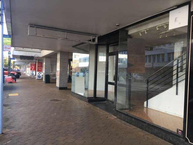 Shop 8, 55 Queens Drive Hutt Central_3