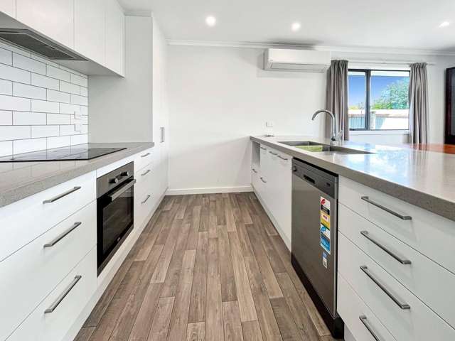 72a Grove St Tinwald_3