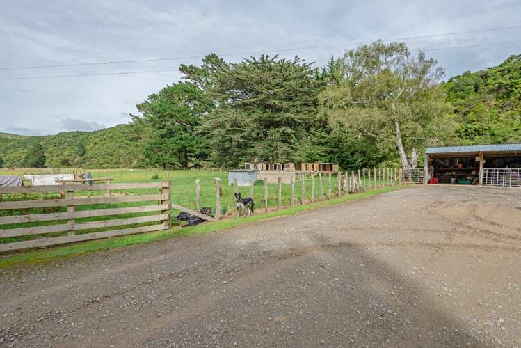 1068 Hinemoa Valley Road Pahiatua_18