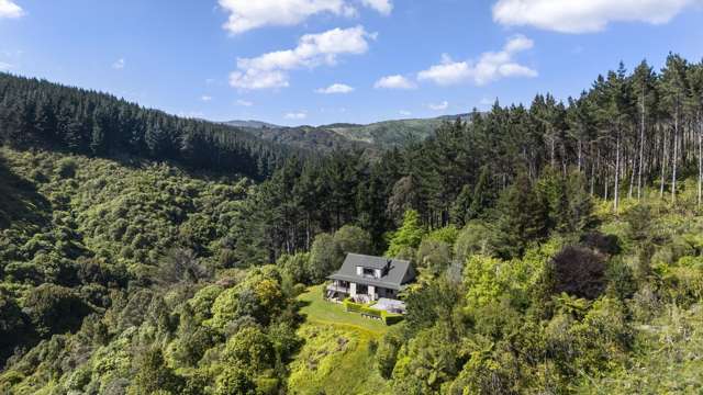 562 Turitea Road Turitea_3